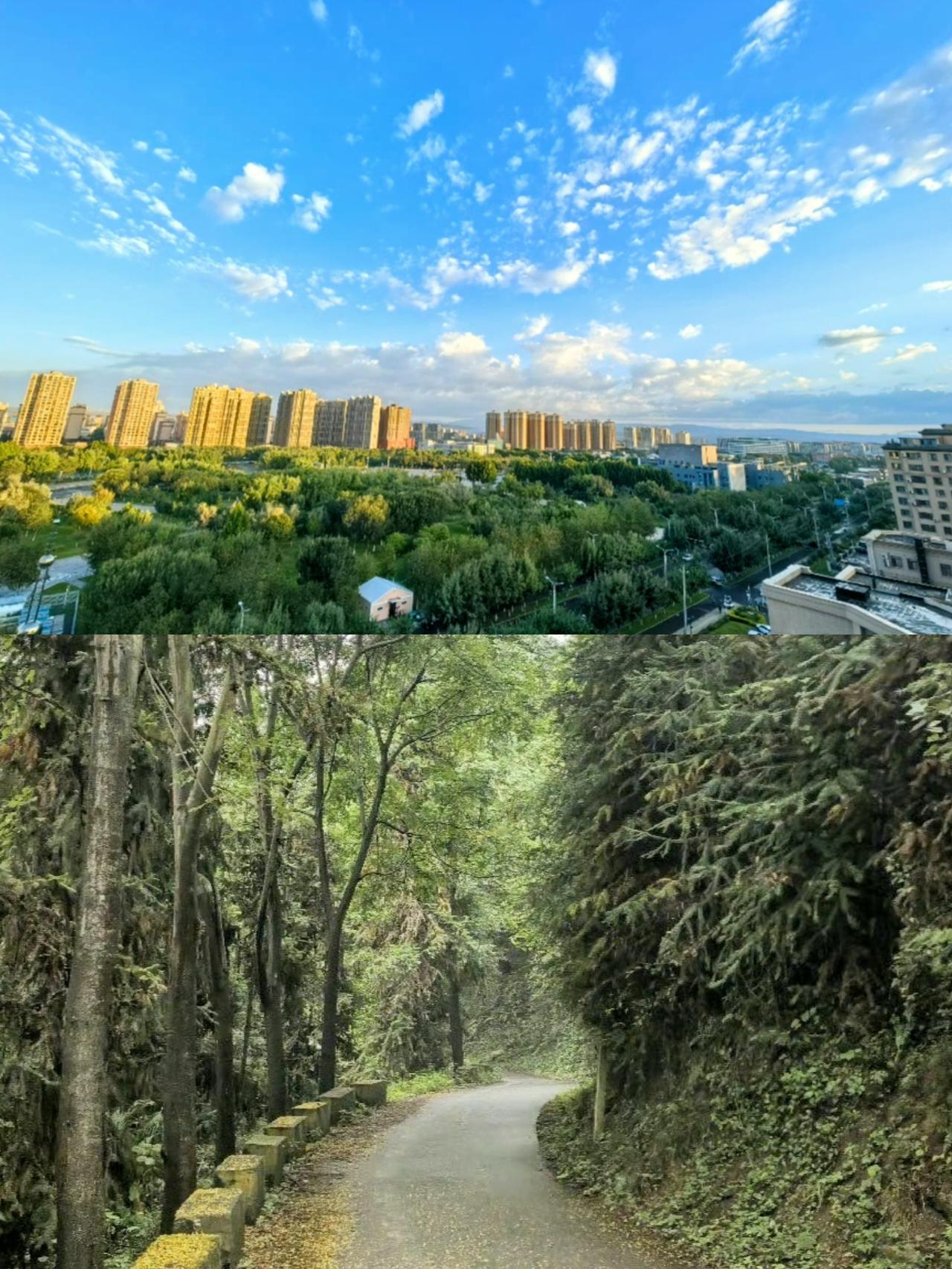 1.经济与就业差距
①城市以工业、服务业为主，工作岗位多、工资高、社保全。
但农