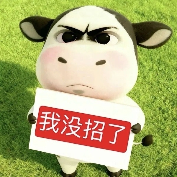 多名中国公民被缅甸警方拘捕一直都在宣传缅甸不能去不能去，还是有人非要去，被洗🧠