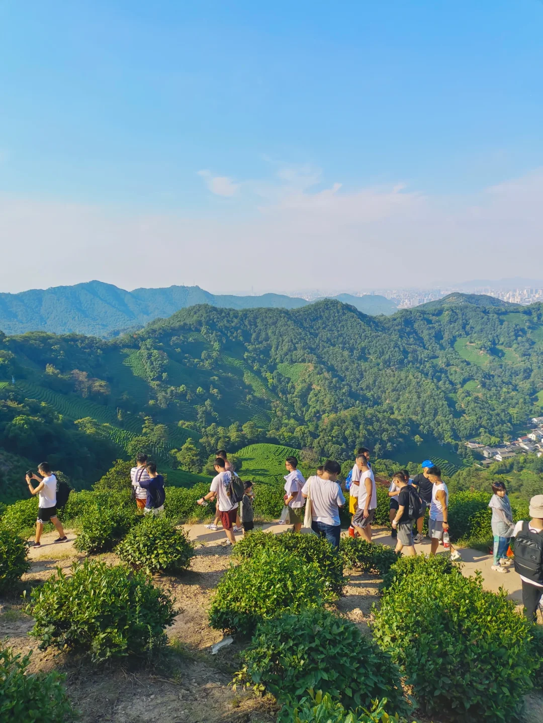 出门踏秋去｜杭州绝美露营胜地⛺️秋天必打卡
