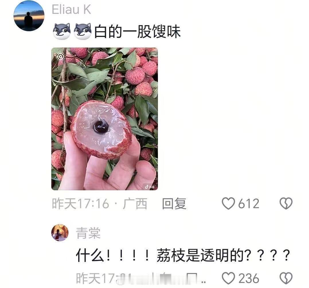 原来我从未吃过新鲜的荔枝 （