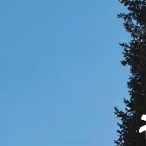 人生感悟 我的绽放，不用春天安排，我自有安排。-“慢慢开花的人，才是真正不怕季节
