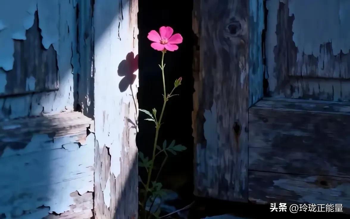 非常现实的一段话：“男人必须明白，你不嫖不赌，觉得自己是个好男人。可在女人眼里，