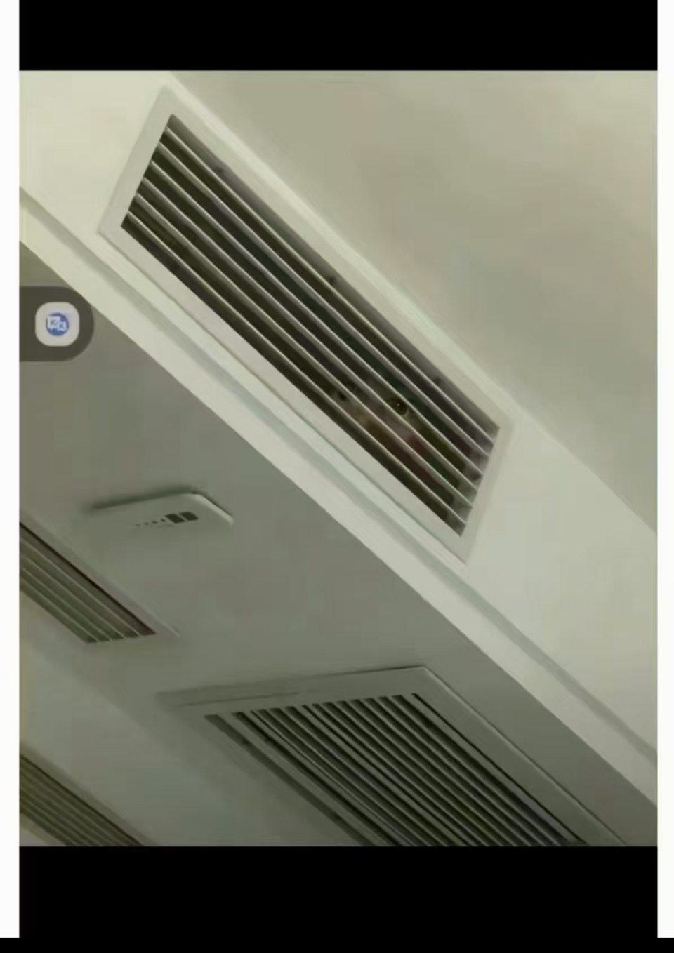 这是啥？？？我靠？？？闹👻了 