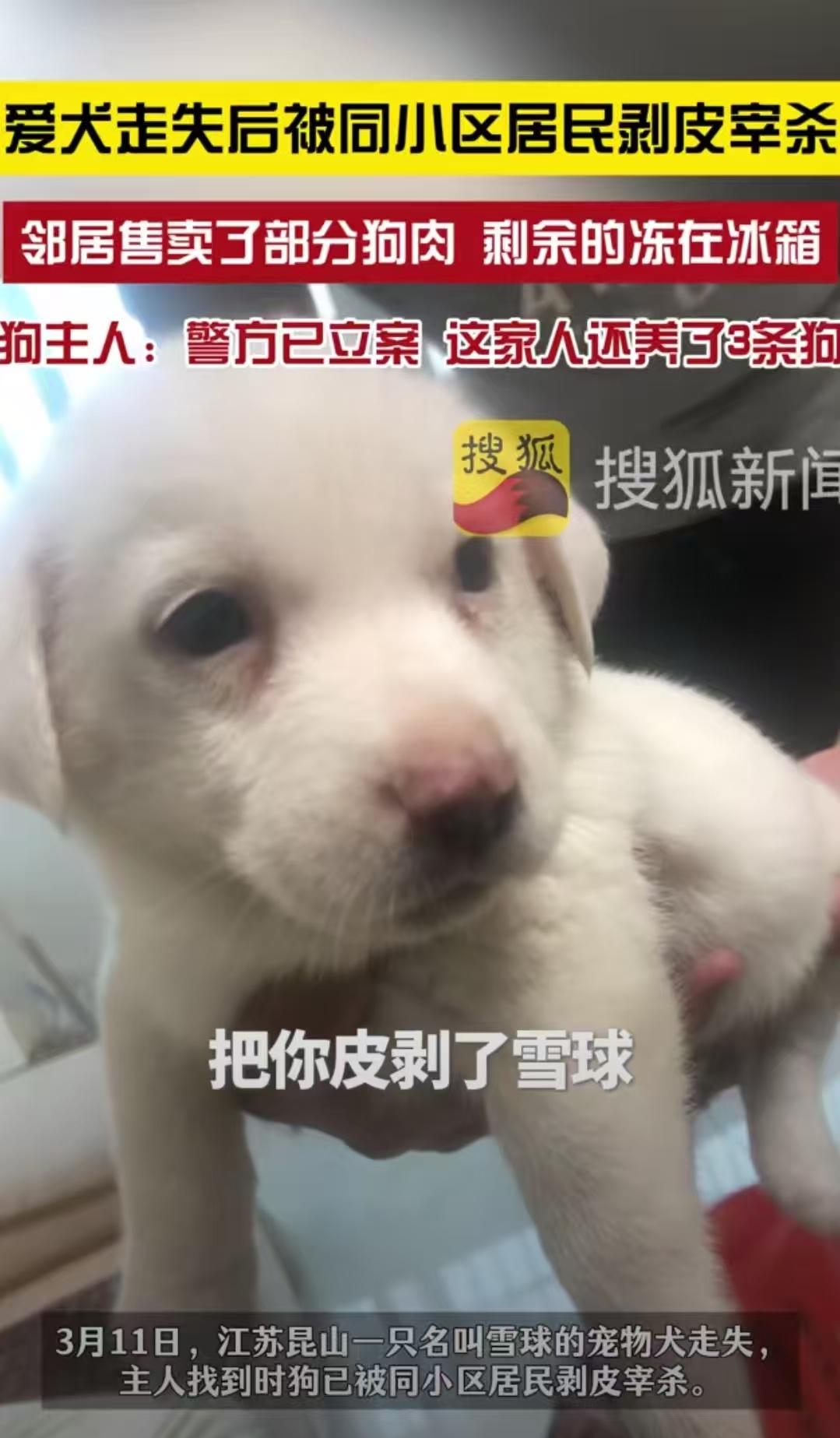 江苏昆山，女子没关好门，家里的狗跑了出去，结果被邻居老人剥了皮把肉卖了。女子和丈