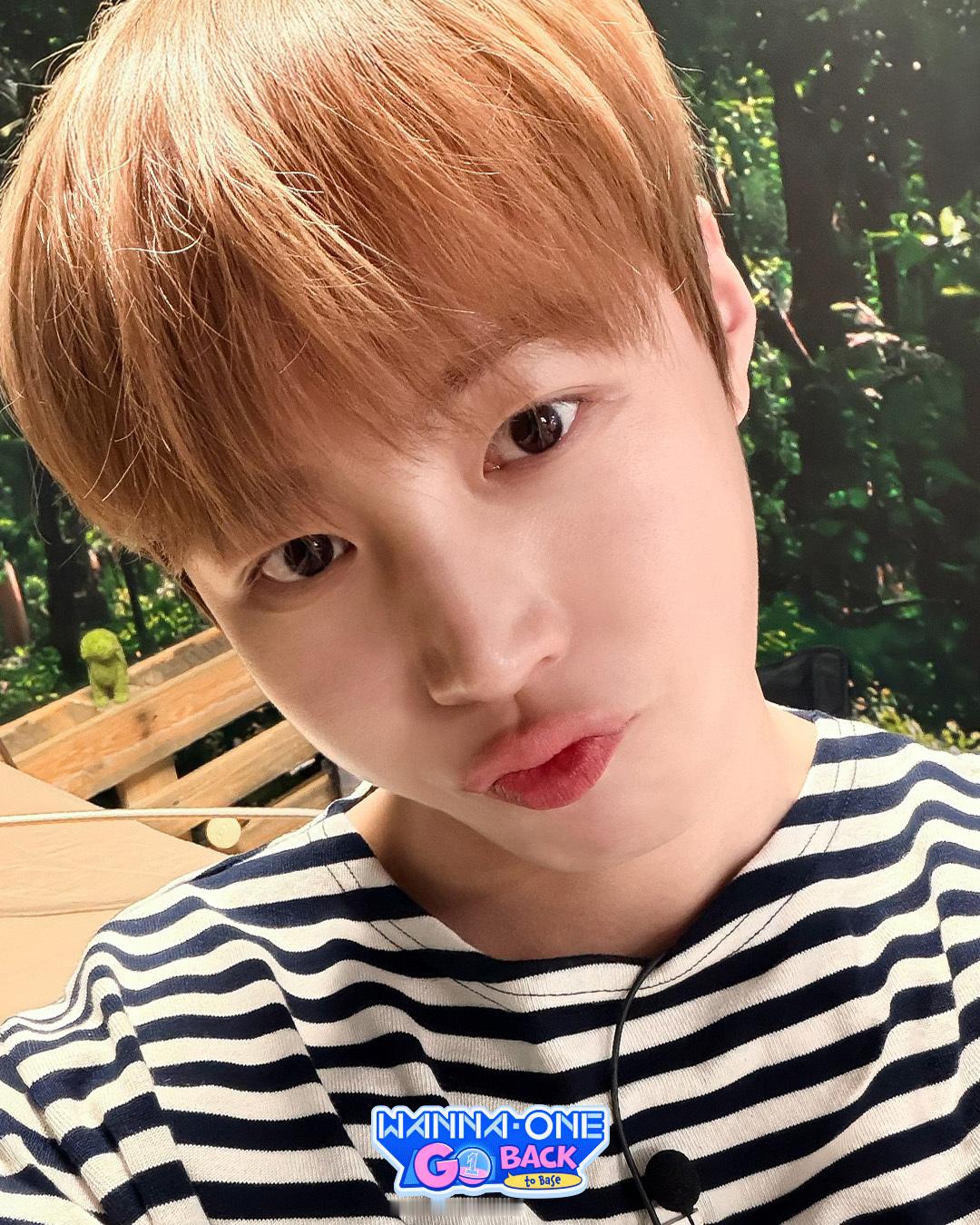 WANNA·ONE自拍2017 x 2026 