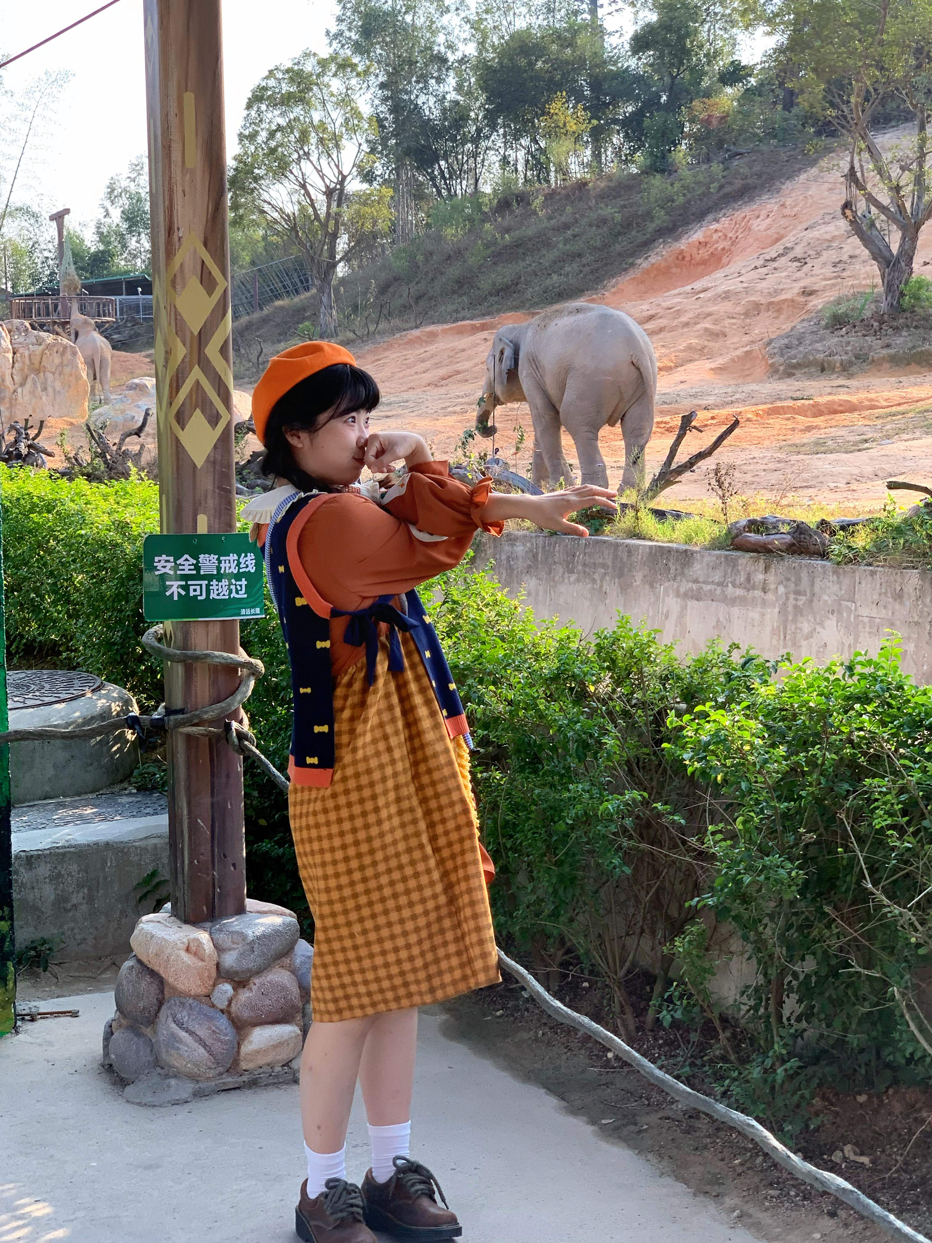 别人看动物🍊我在清远长隆和动物泡在一起…🥲 清远·清远市长隆旅游度假区