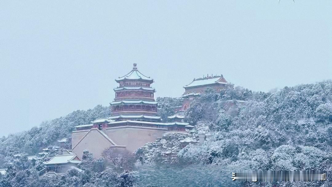 今年冬天的不同