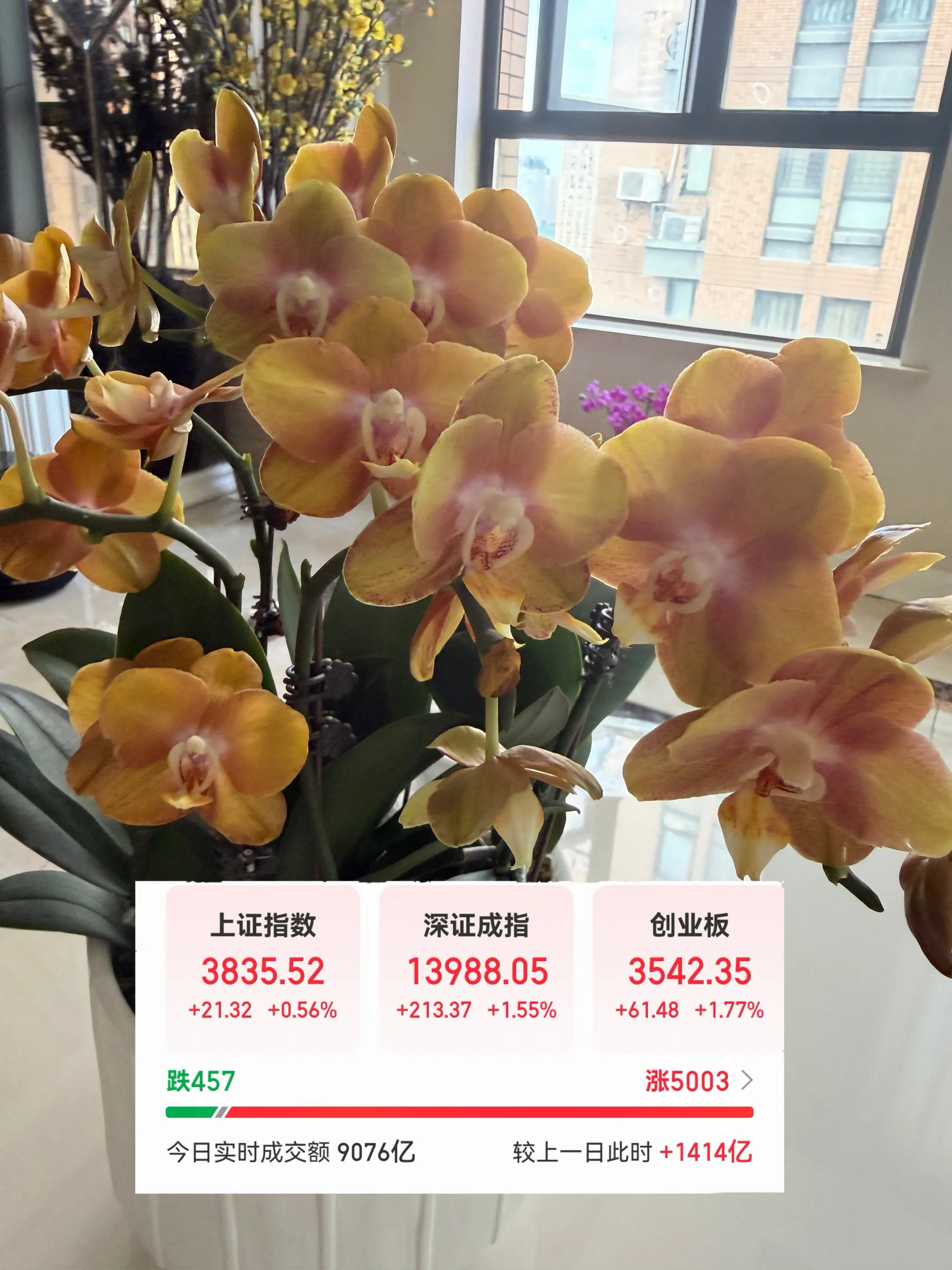 周五我说看多周一 今天A公子发力很猛