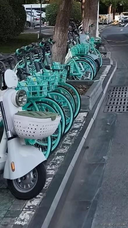 今早出门差点没摸着单元门，南京这大雾黄色预警真不是闹着玩。六合、江北新区这些地方