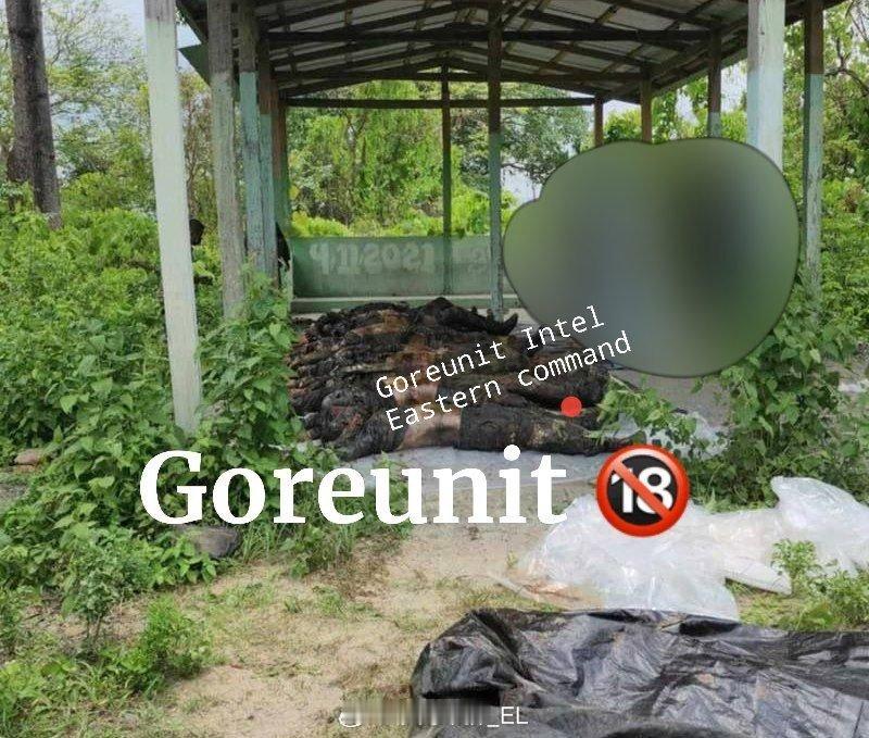 印度方面宣布印军阿萨姆步枪队5月14日在曼尼普尔邦的印缅边境附近打死十名缅甸反对