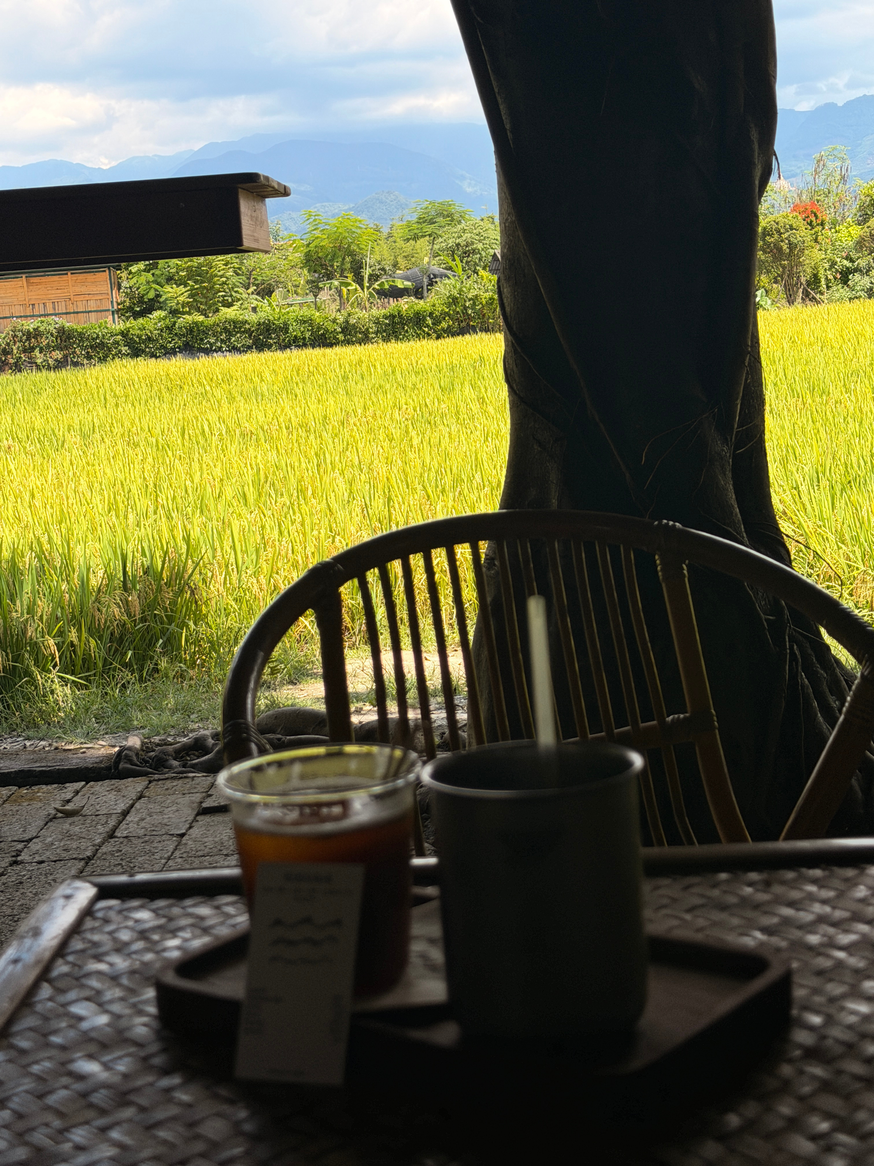 喝点咖啡吧☕️ ​​​