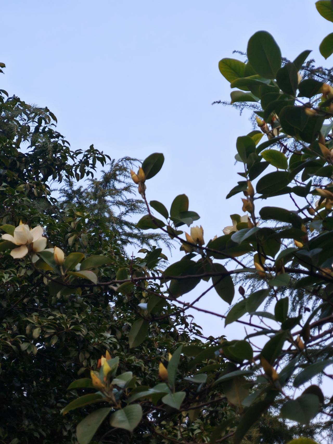 1．不要劝胖子喝酒。
2．在光棍面前，不要秀恩爱。3．一定不要接二手工作。
4．