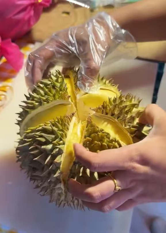 世界上最完美的榴莲出现了品相圆润果肉饱满，壳薄肉厚无坏果，挖到这种极品，属实值得