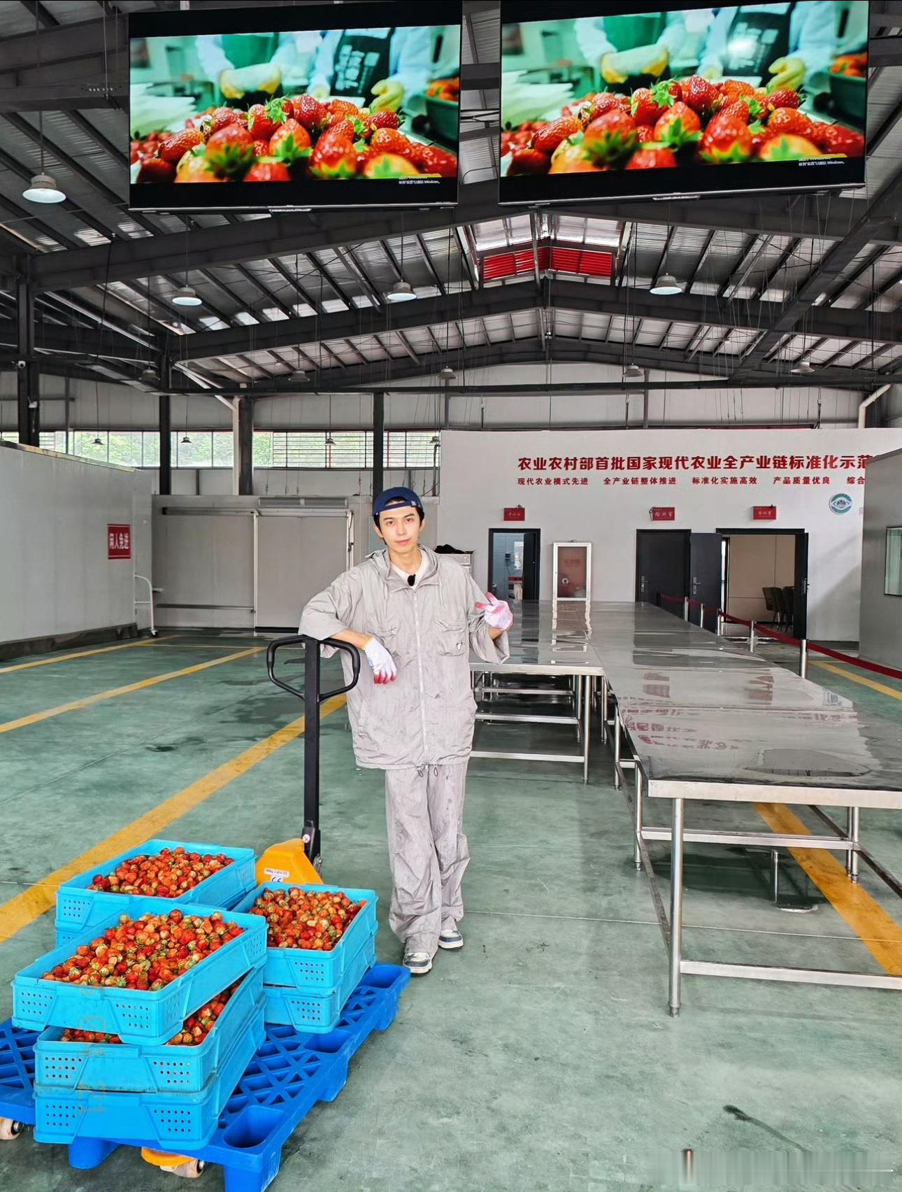 我承认你很帅，所以草莓可以给我吃一口吗[可怜][可怜]我也不多要，一盒就行，可以
