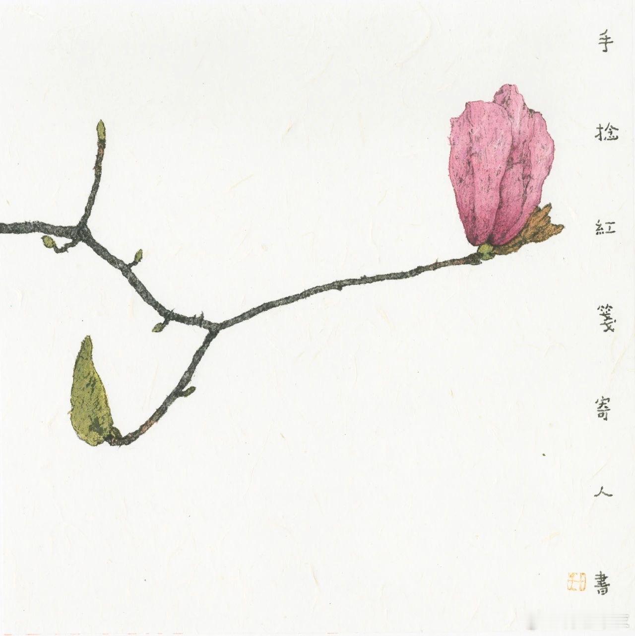 李知弥的花儿 ​​​
