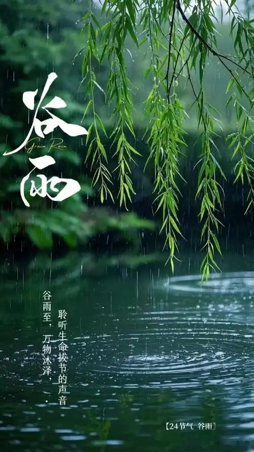 七绝 谷雨时节观落花
 
谷雨风来落瓣轻，
阶前铺锦惜春程。
 纵然辞树香魂在，