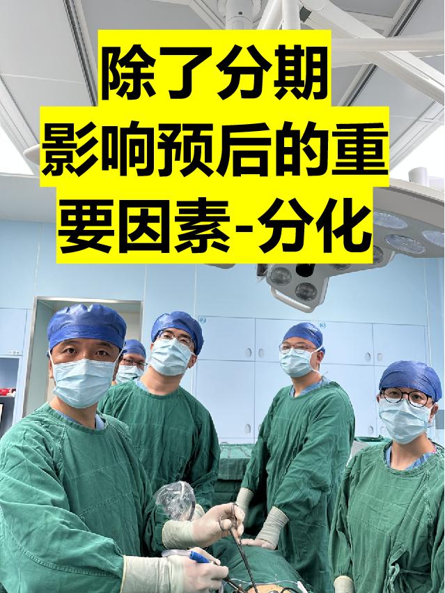 除了分期，啥是非常重要的影响因素？。如果肺癌分期相同，影响肺癌预后的最...