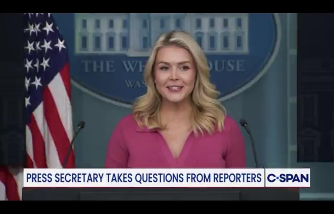 记者询问（特朗普）总统是否考虑让美国移民及海关执法局（ICE）在11月的大选中包