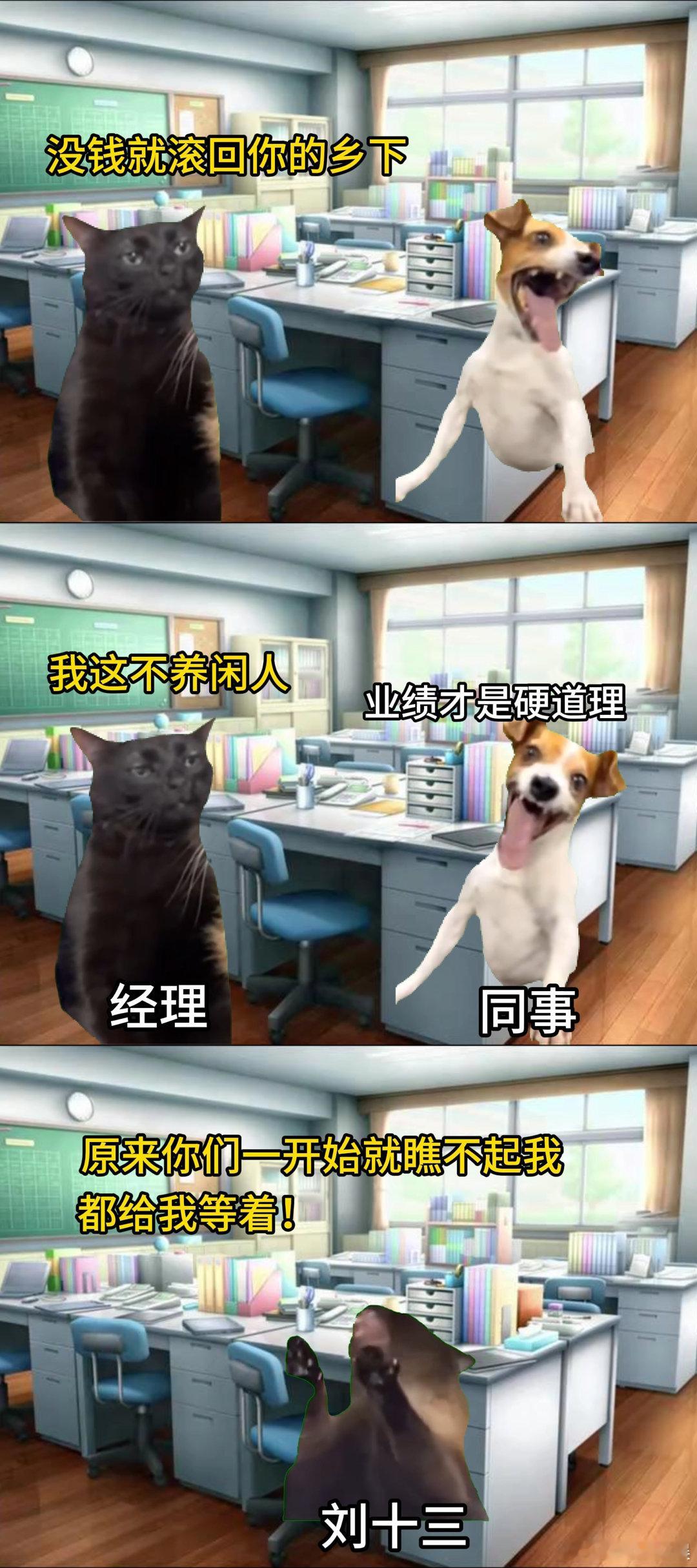 #用猫memes的方式打开云边# 可爱的猫咪 memes 为《云边有个小卖部》注