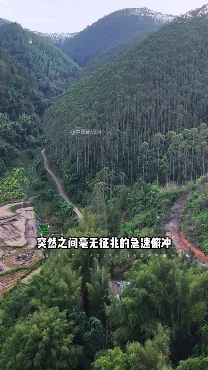 东航MUS735坠毁地。
中国研究所。
这是让全国人民都心痛的地方，没有一个中国