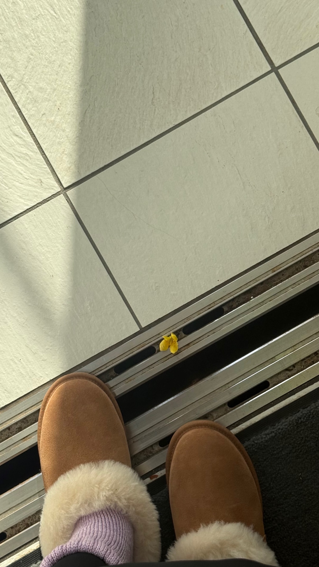 長濱ねる「エレベーターの隙間に🌼」 