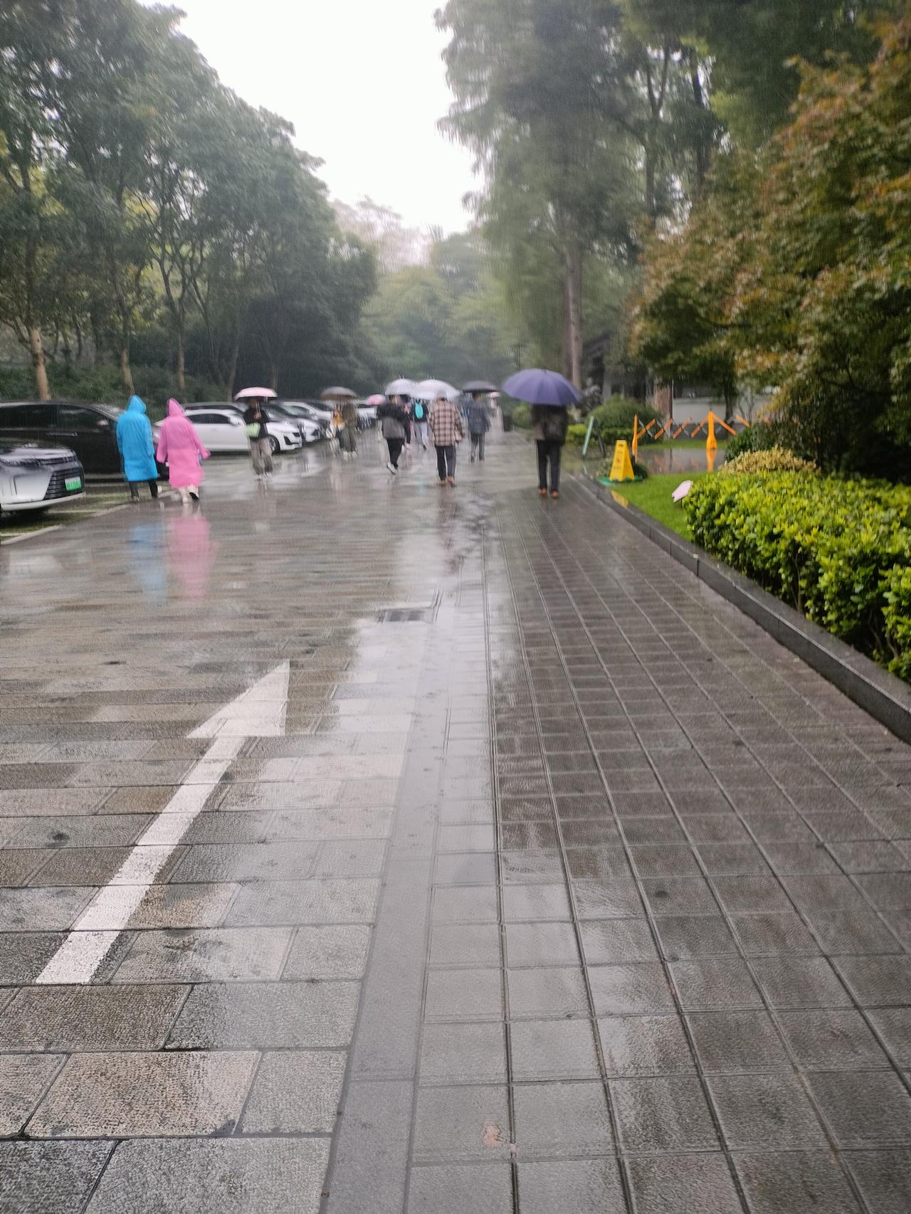 细雨绵绵，以前只是在诗中见到这个成语。
作为北方人，从小到大好像没有这样的天气，