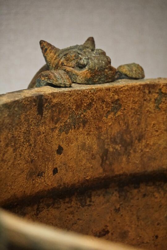 哦吼～它在偷看什么？👀