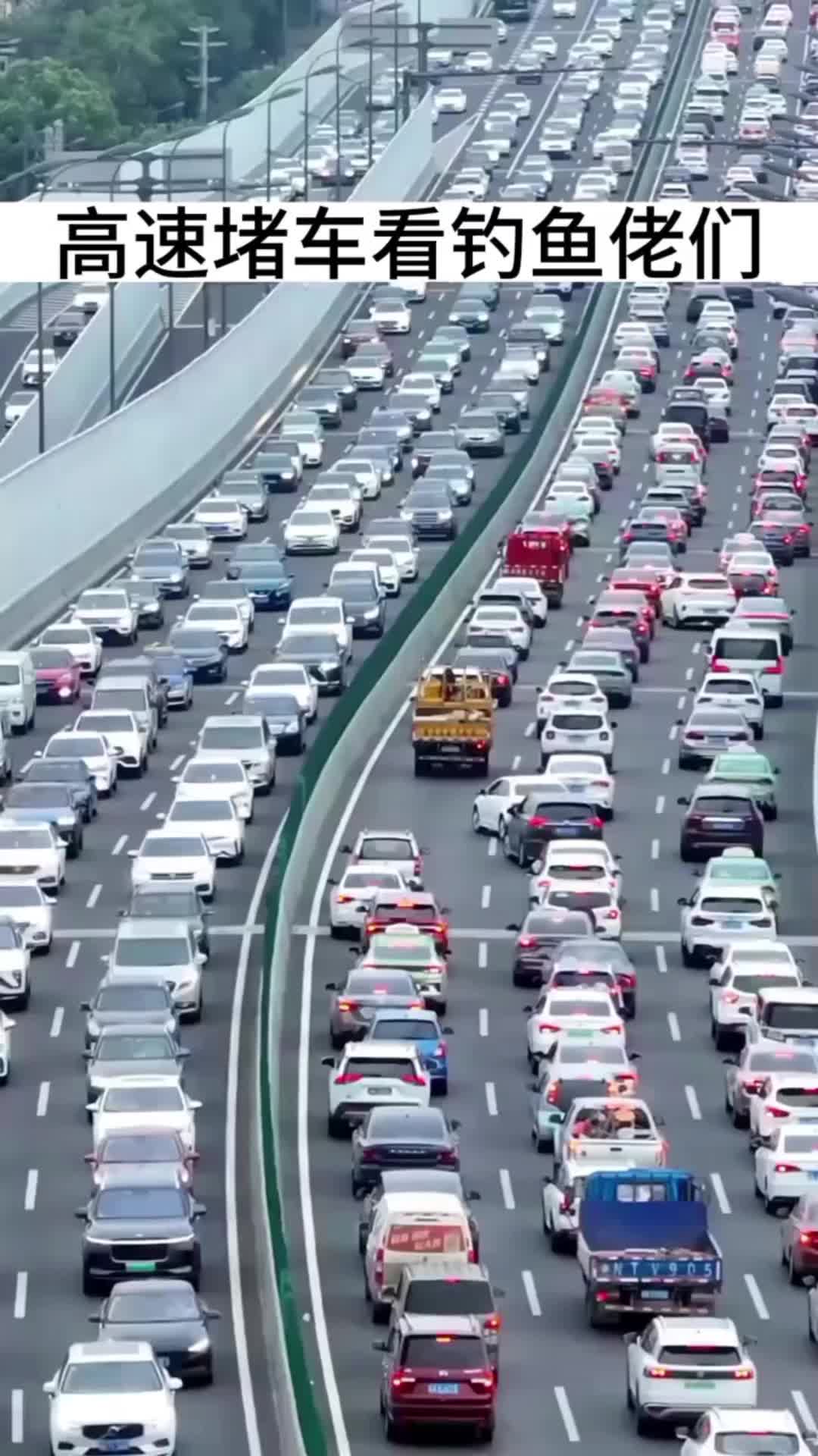 钓鱼的乐趣只有钓鱼人懂
