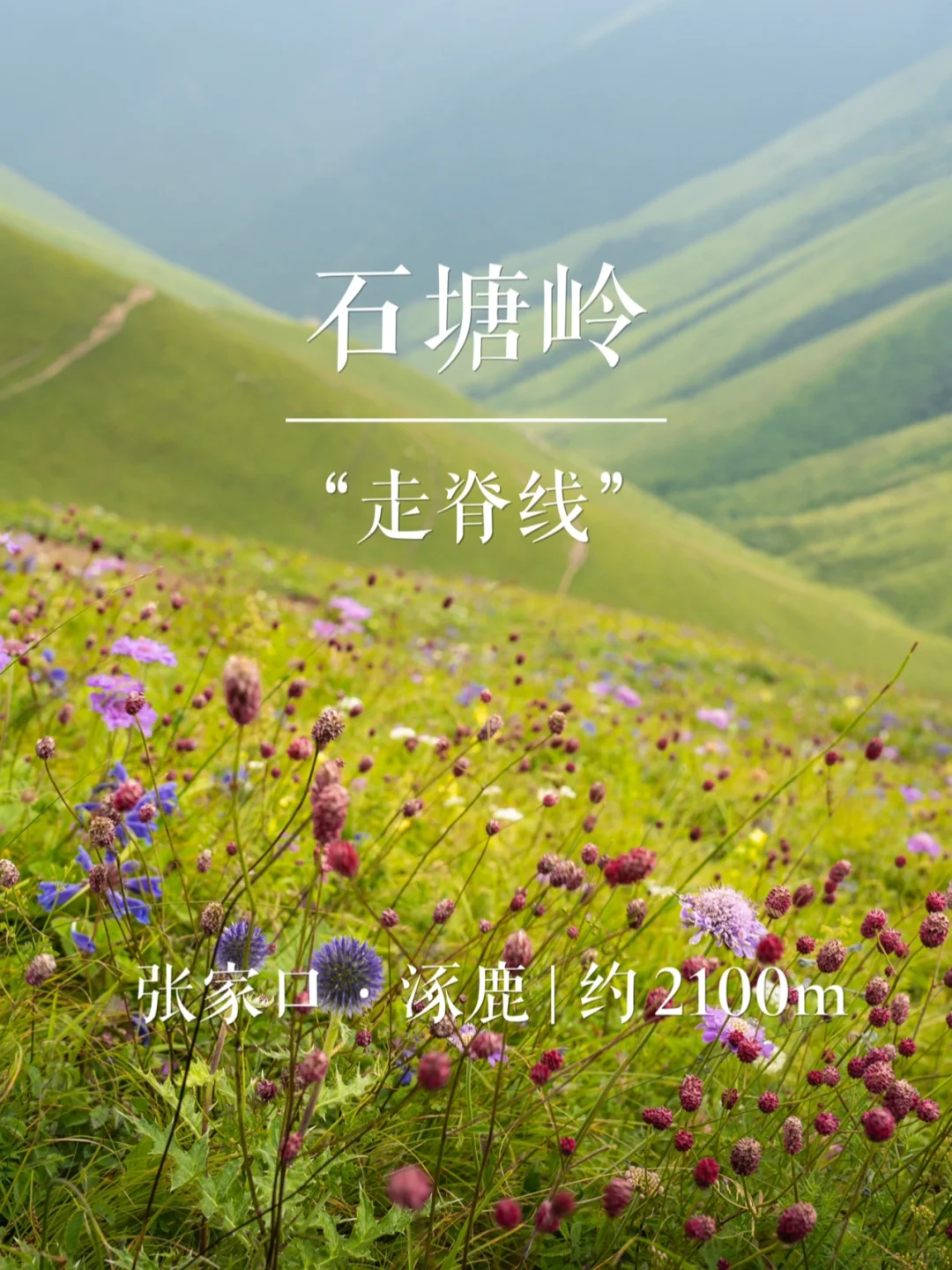 “走脊线”石塘岭 | 华北名山录