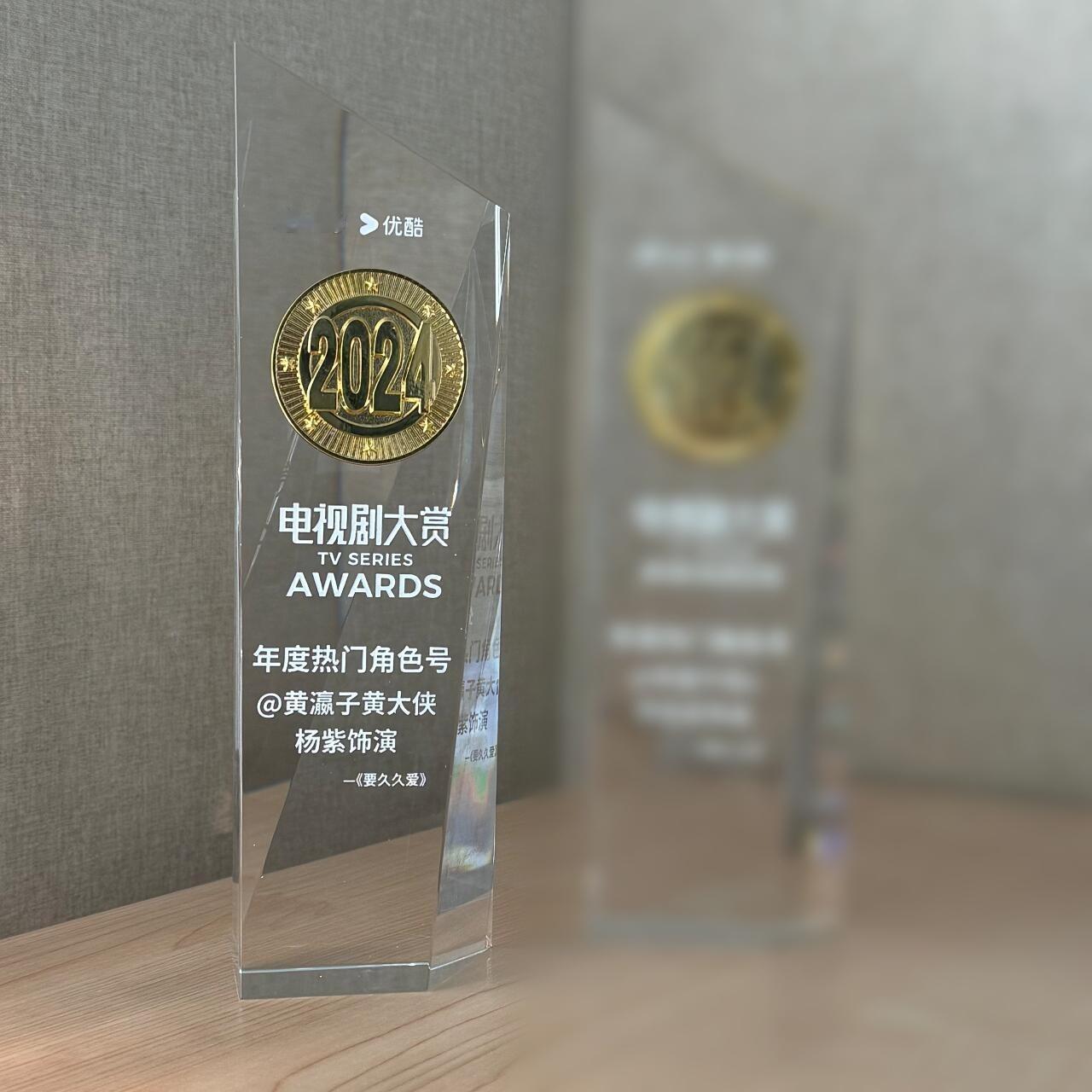 恭喜黄瀛子角色号黄大侠荣获电视剧大赏TV SERIES AWARDS 年度热门角