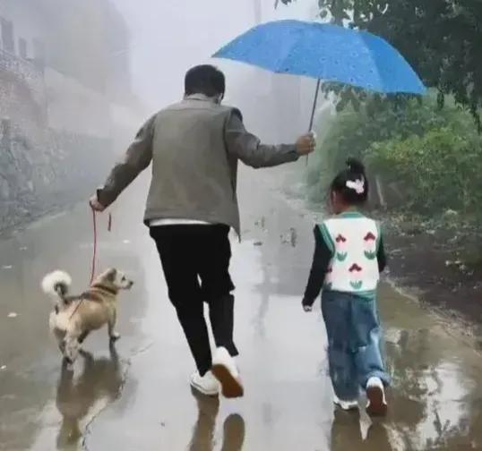一天，迟子建问董宇辉：
