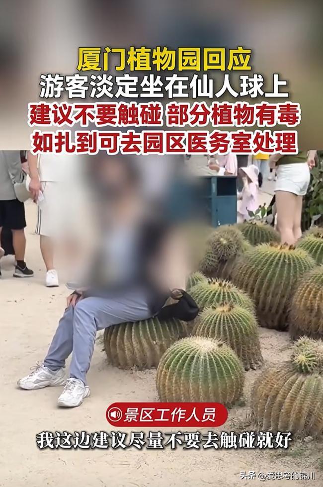 这场景看着都疼😂
在厦门植物园，一名游客直接坐在巨型仙人球上淡定刷手机，网友戏