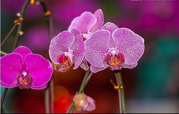 突发重磅消息，节后大A开盘稳了！
昨夜今晨，美股市场突发一则重磅消息，美国最高法