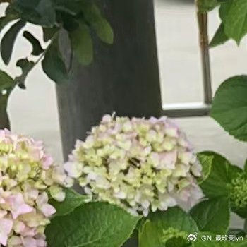 每日一善[超话] 感恩是一种善行，我们要感恩一切善待自己的人，感恩世间万物，并且