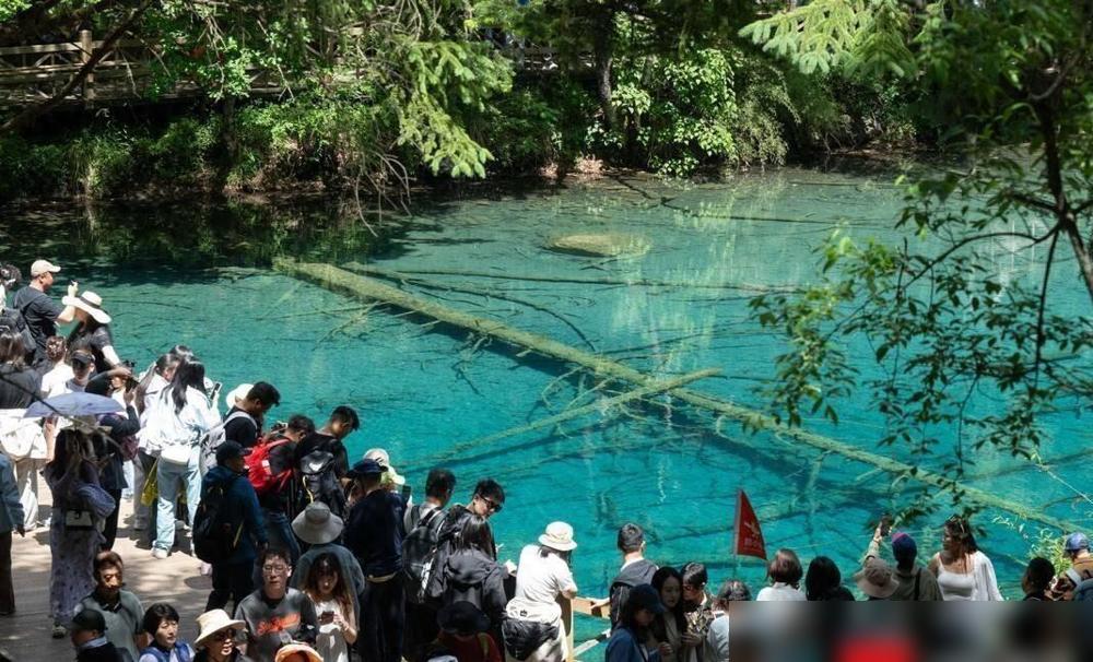 九寨沟回来了！7级地震后，火花海几乎干涸。

我前两年自驾去阿坝的时候，特意绕过