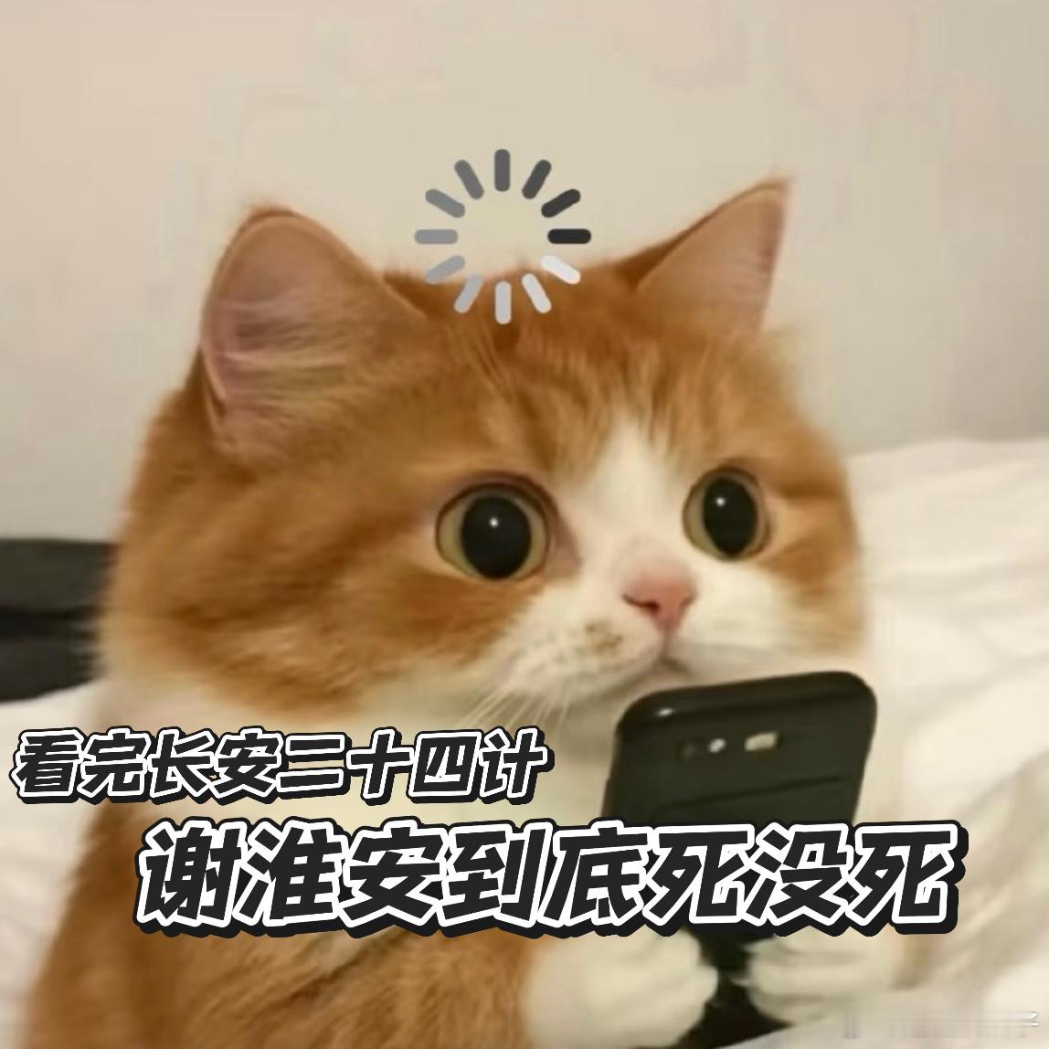 谢淮安到底死没死 长安都已经守住了，结果谢淮安却失踪了，感觉整个人的心情都随着剧