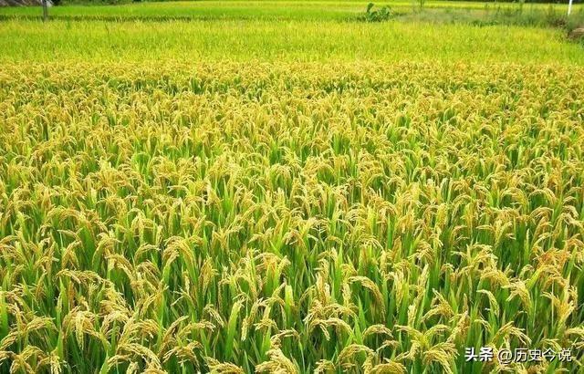 单干真能稳致富？土改后农民悄悄卖地，看懂伟人的长远布局
 
阅读此文前，诚邀您点