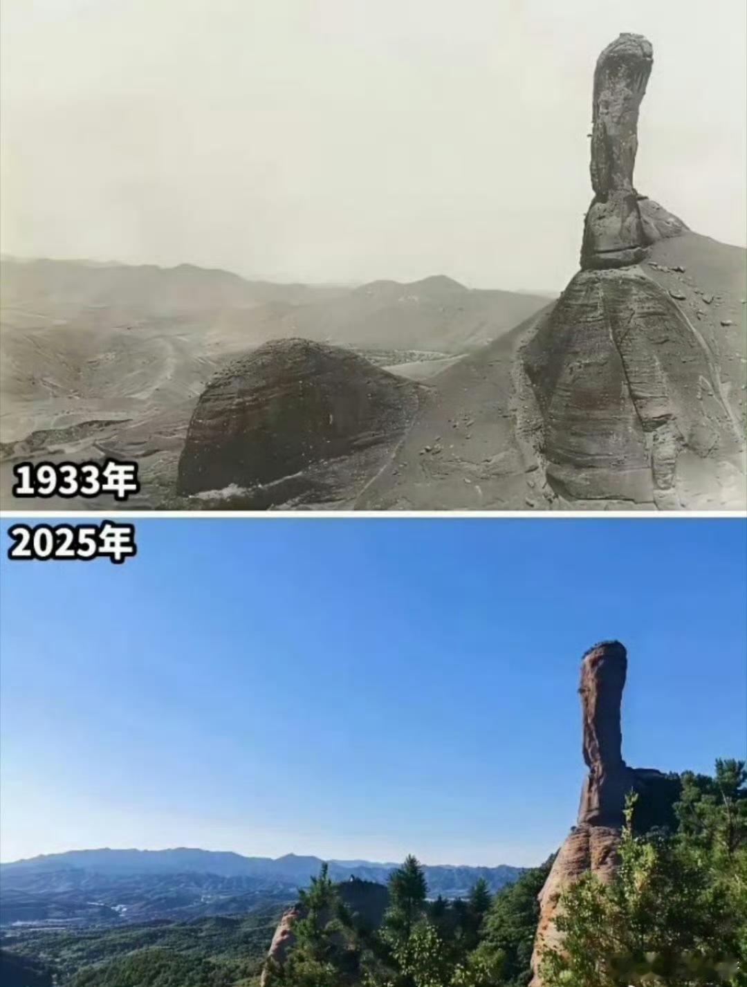 据说这是清末和民国的老照片，有拍到山的，几乎都是光秃秃的！ ​​​而如今的山树木