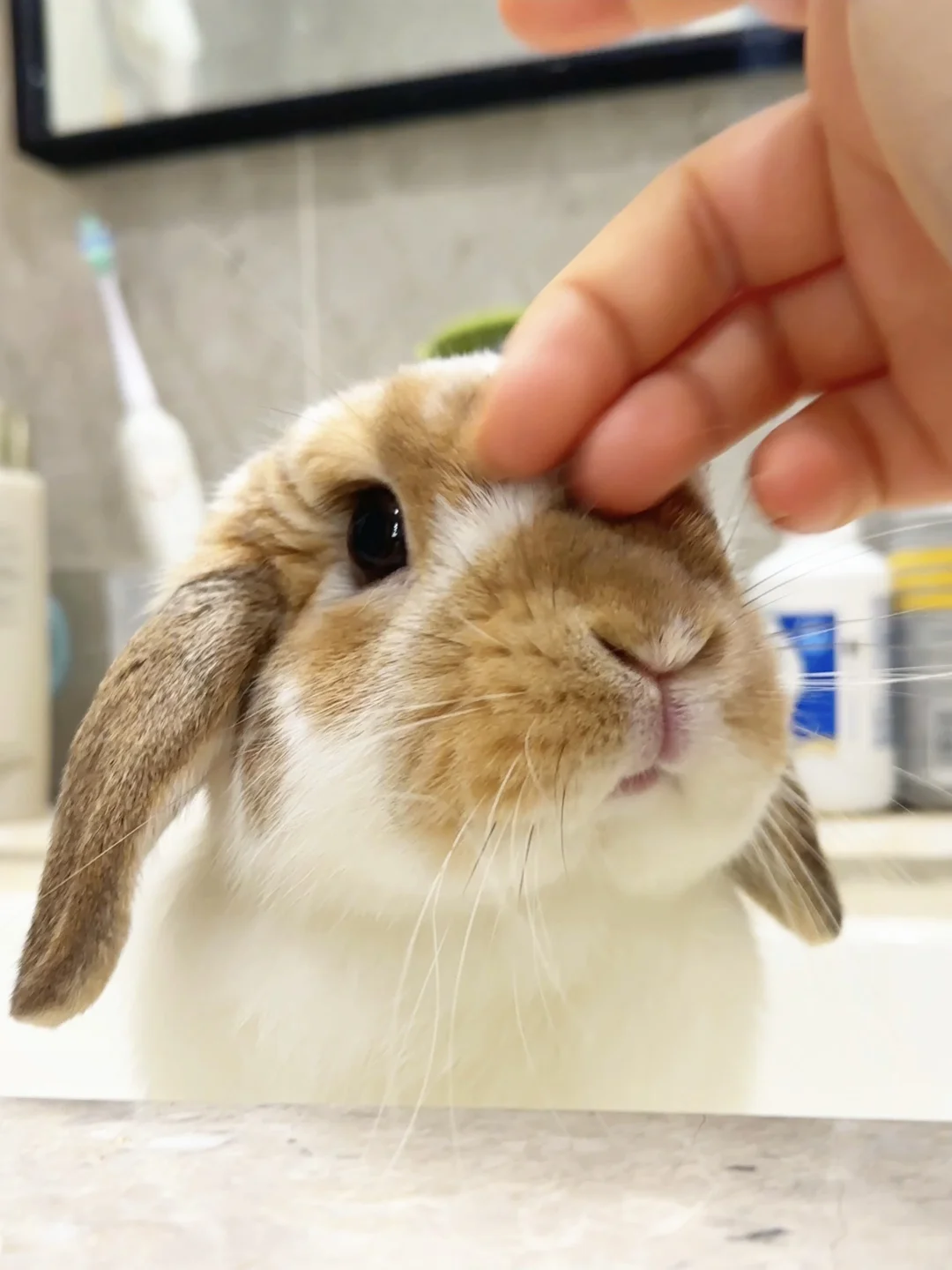 ee们🥹宝宝挨打的机率大吗？