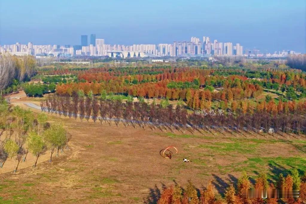 襄阳发布第三号林长令，从绿水青山就是金山银山的角度来看，第3号林长令的发布意义深