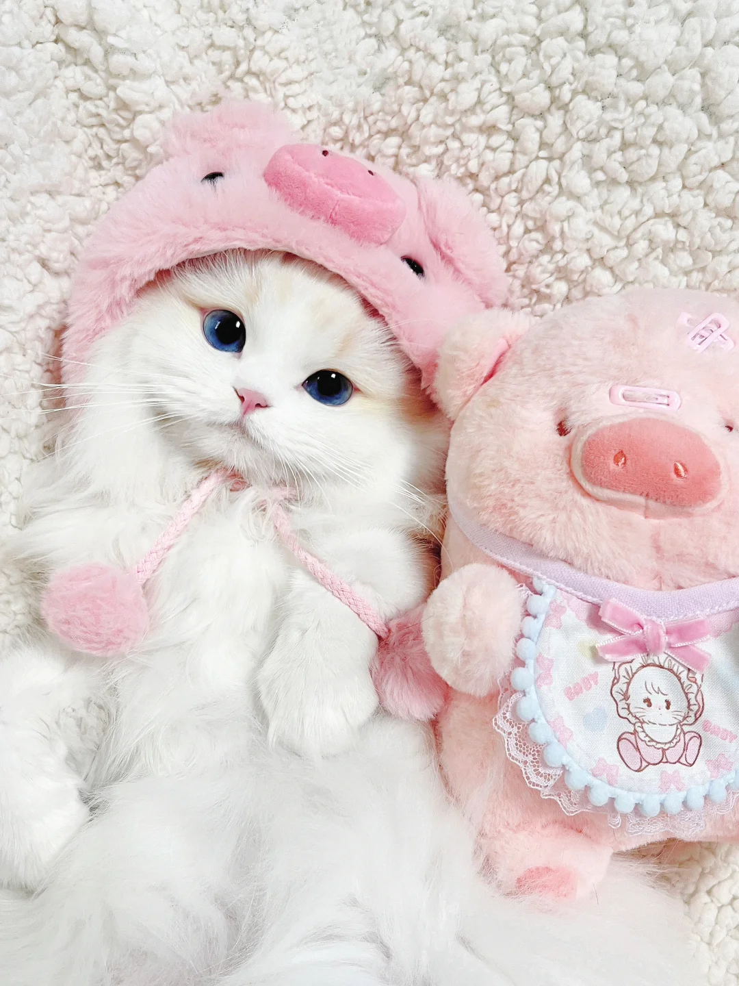 妈妈居然说我是小猪 不是小猫˃̶͈̀🐽˂̶͈́