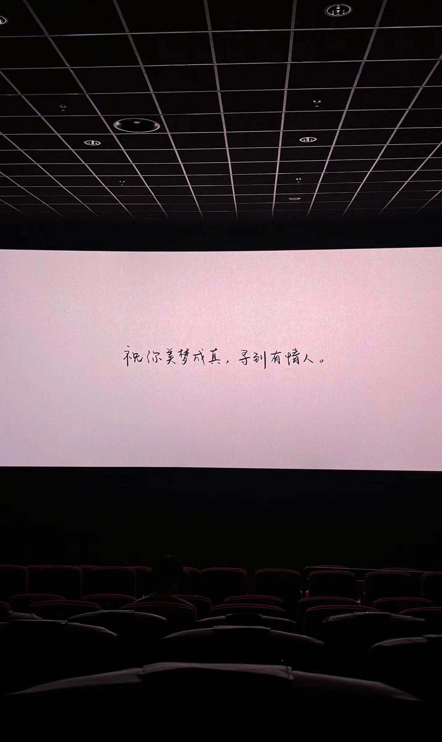 世界上很多东西可以靠努力争取 唯独拥有一个有情有义的爱人需要一些运气 去你的岛