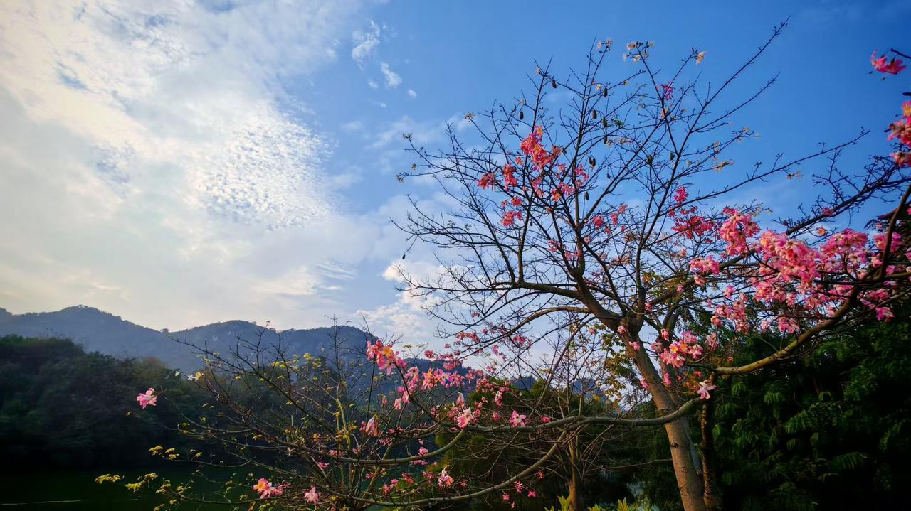 还记得以前和你待一块儿，那简直就是两台连了网的对讲机，从天亮叭叭到天黑，都不带歇