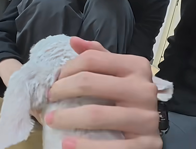 啊？！真的没打腮红吗？ 