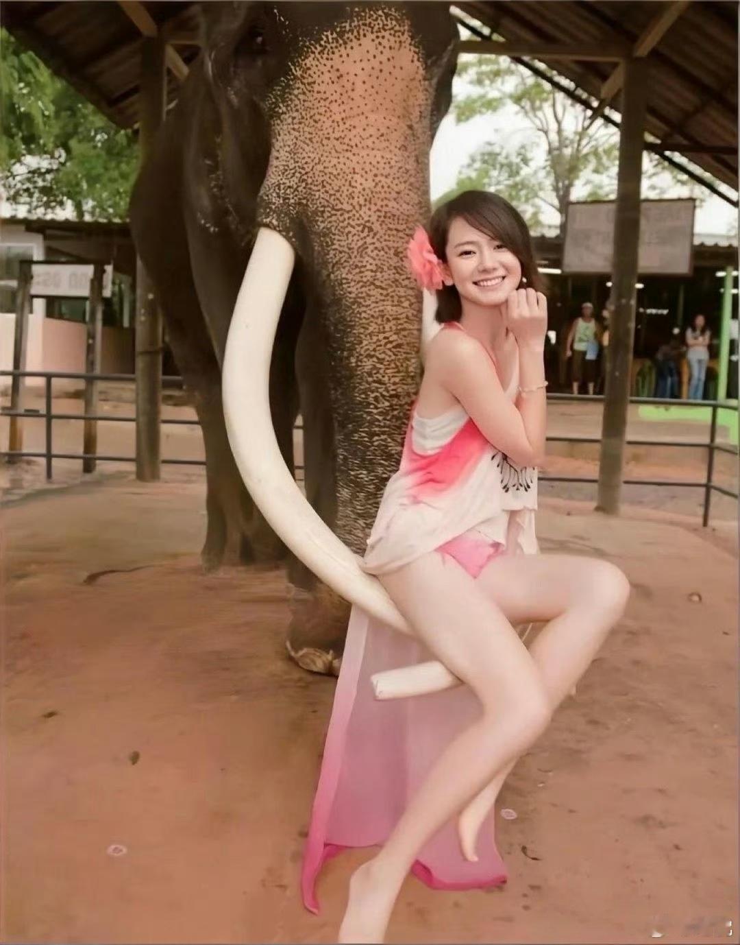 戚薇年轻时是真的漂亮，笑容太有感染力了 