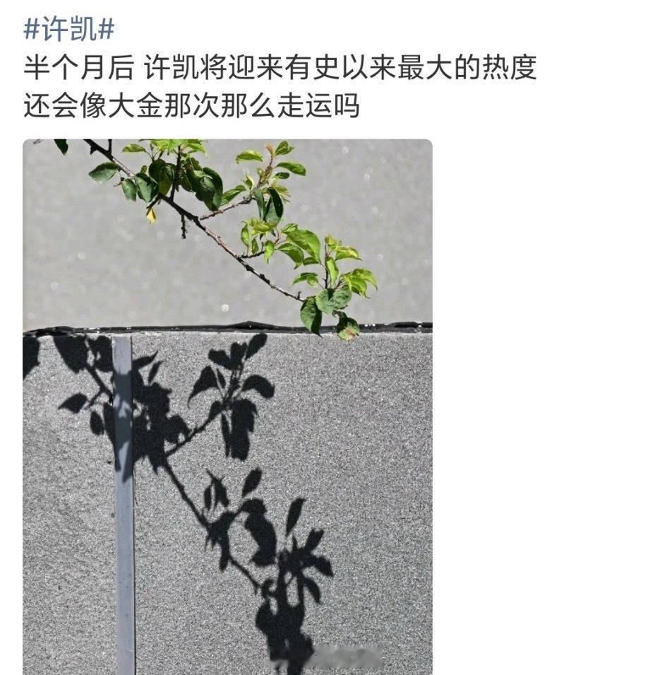 为什么要提前预告等半个月，懂得都懂。明目张胆的敲诈勒索。 ​​​