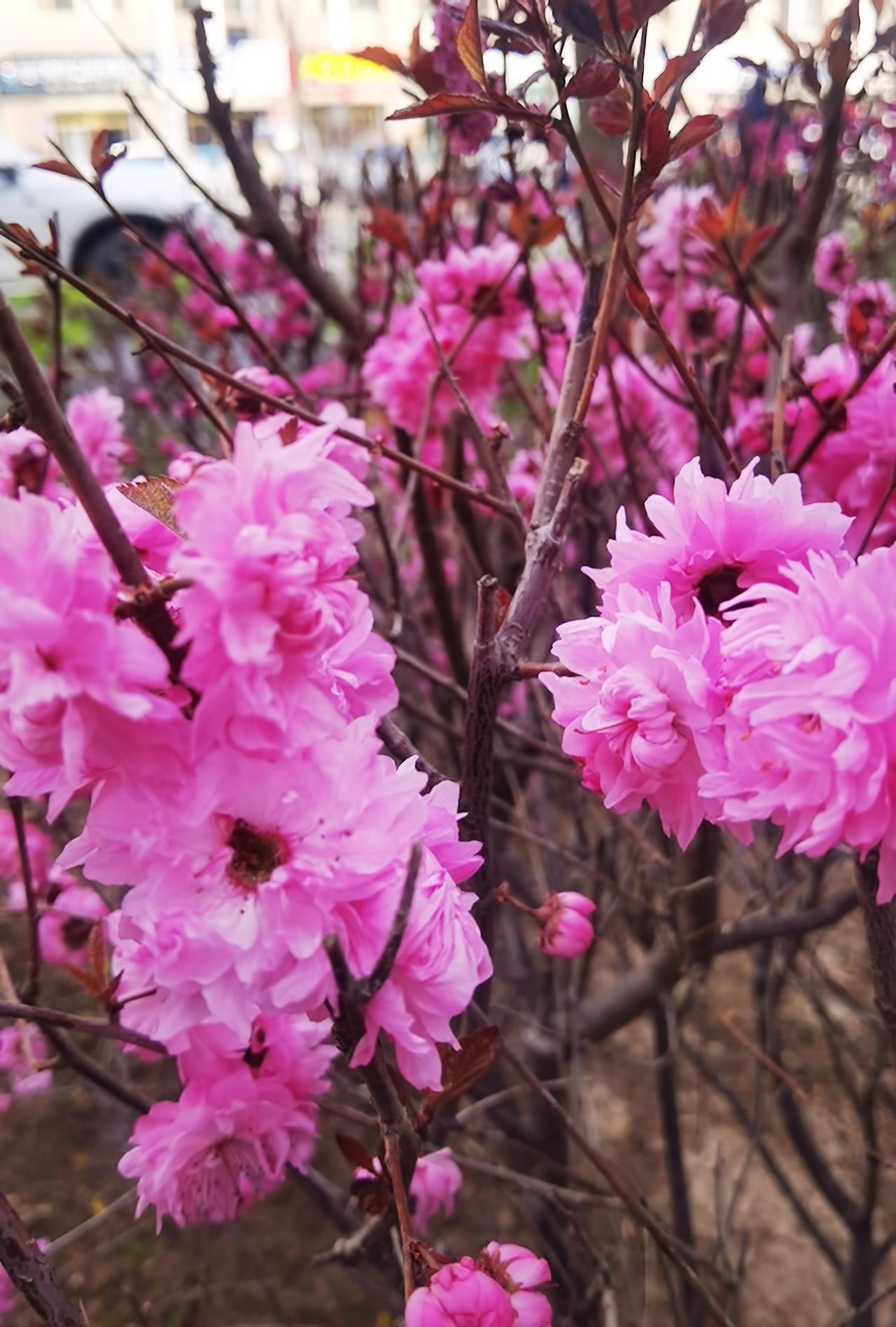 无忧无病无灾谁能做到? 
无忧无病无灾，这是多么美好的愿望，又是多么美好的一个状