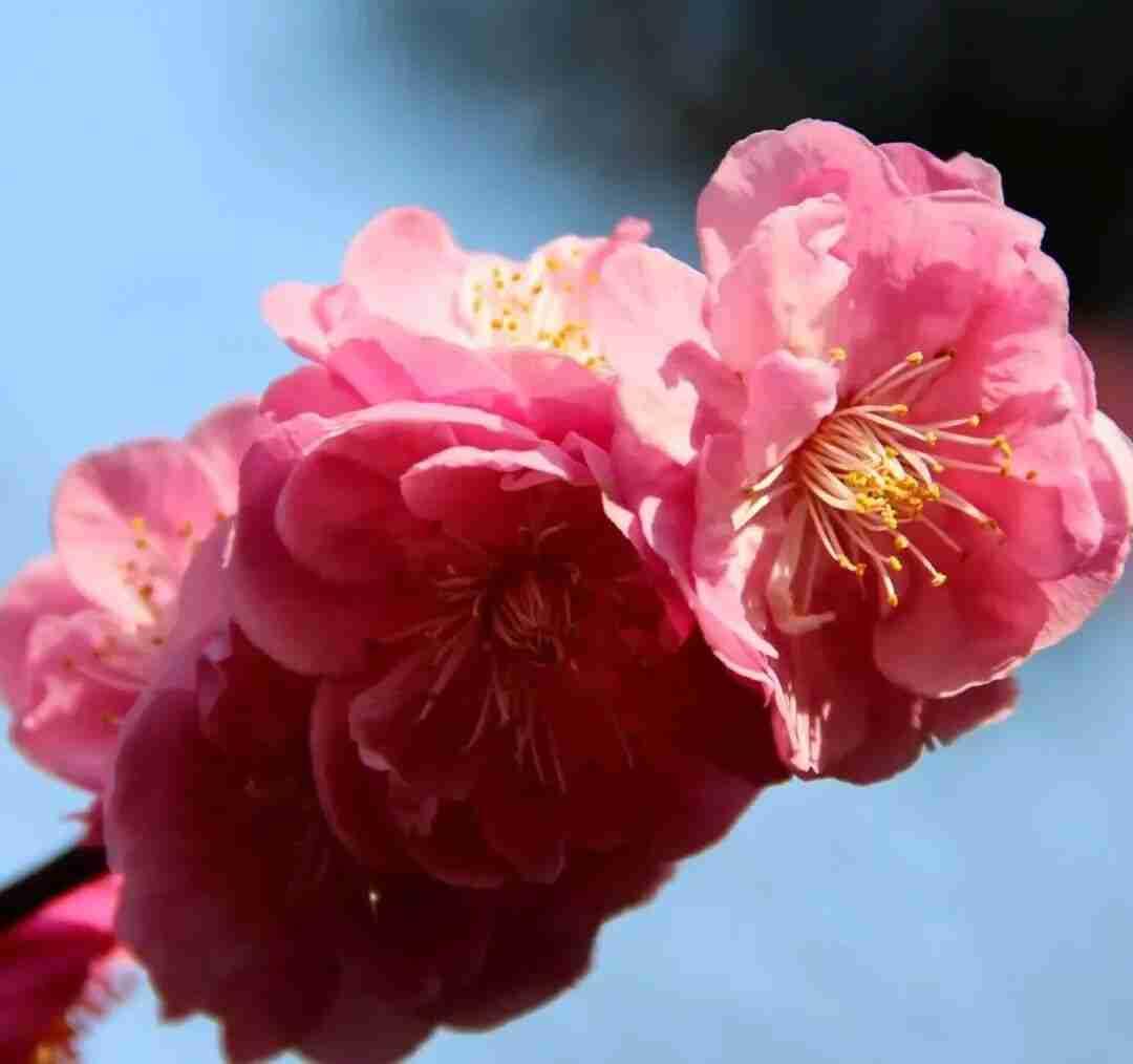 我的今日状态：😁轻松愉快
我这里的天气：❄️下雪