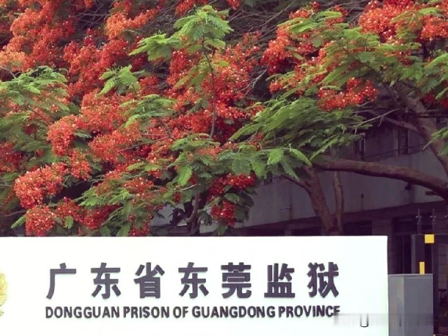 难忘5.12，为汶川地震捐赠的监狱犯人
5.12汶川地震的日子，余含冤坐牢在冬瓜
