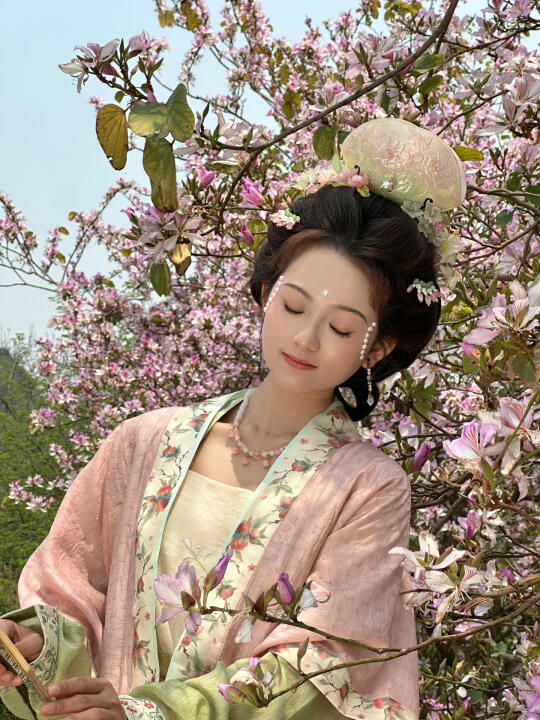 大宋少女春游记｜柳州的紫荆花开啦！